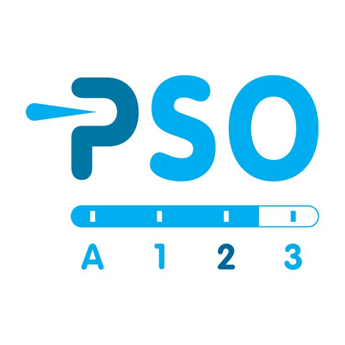 Logo Prestatieladder Socialer Ondernemer (PSO) Trede 2