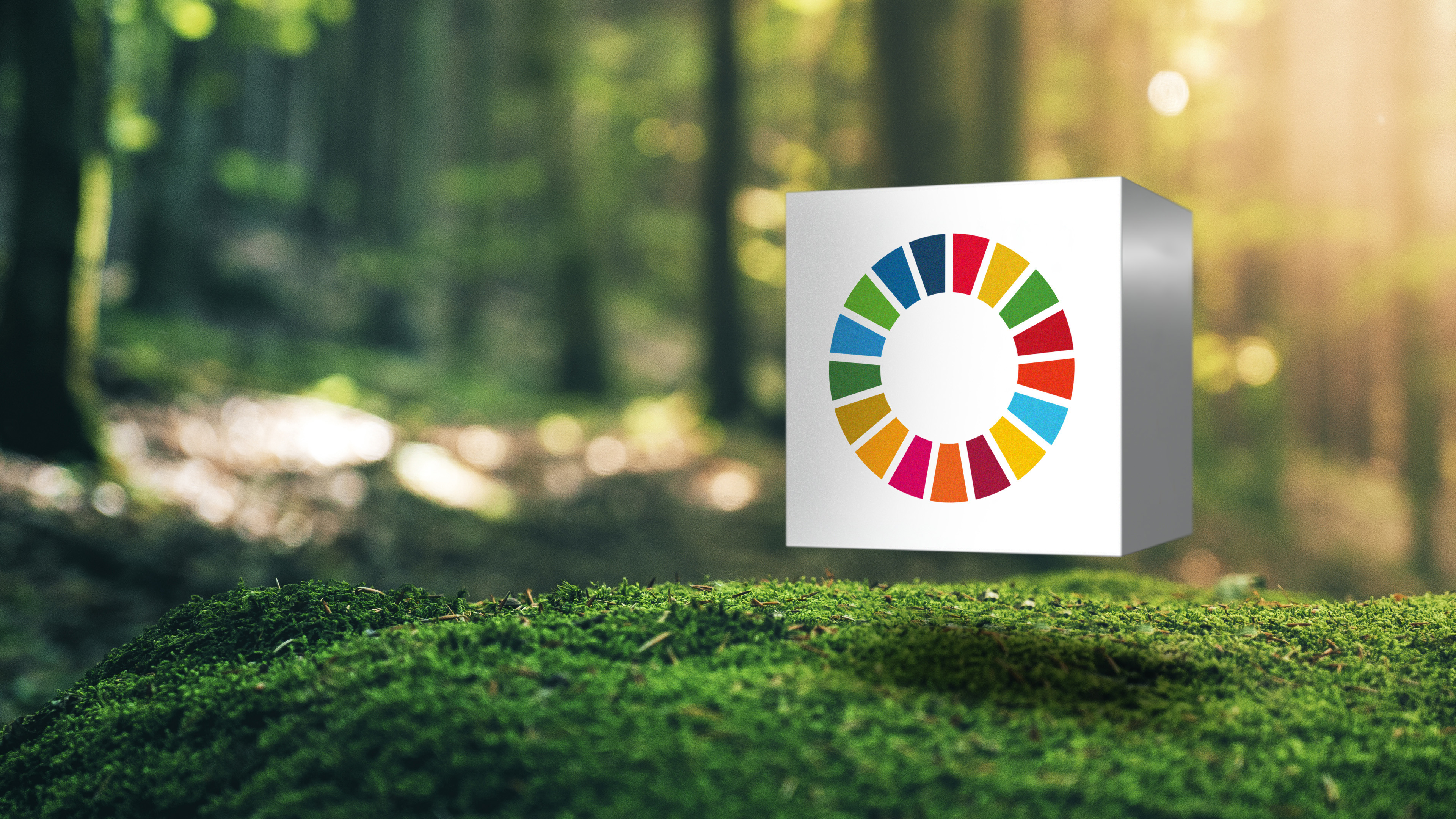 Huybregts Relou Sustainable Development Goals in de praktijk