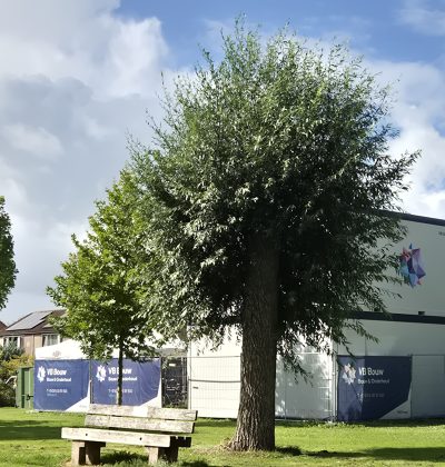 VH Groot onderhoud Nieuwendijk 2